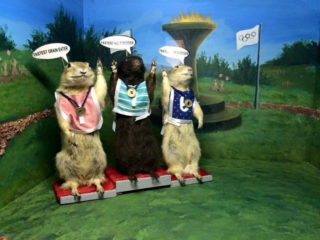 Torrington Gopher Museum in Torrington Alberta