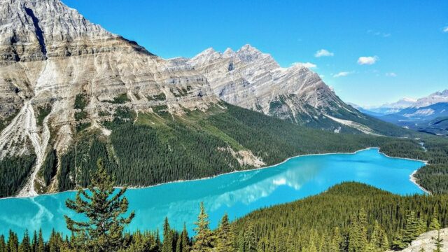 Peyto Lake in Banff National Park of ALberta